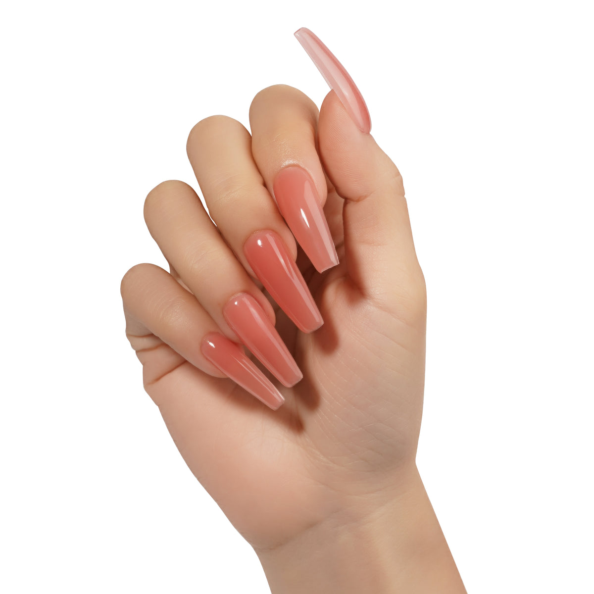 Berry Blush | Gel d'extension dur 18ml E0105