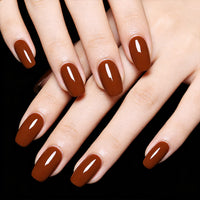 Warm Cocoa | Gel de couleur classique brun 18ml C0804