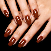 Warm Cocoa | Gel de couleur classique brun 18ml C0804