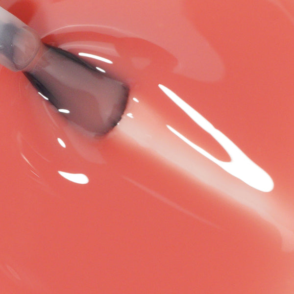 Coral Charm | Gel de construction dur