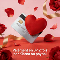 Spiced Rose | Gel de couleur classique rouge 18ml C0309